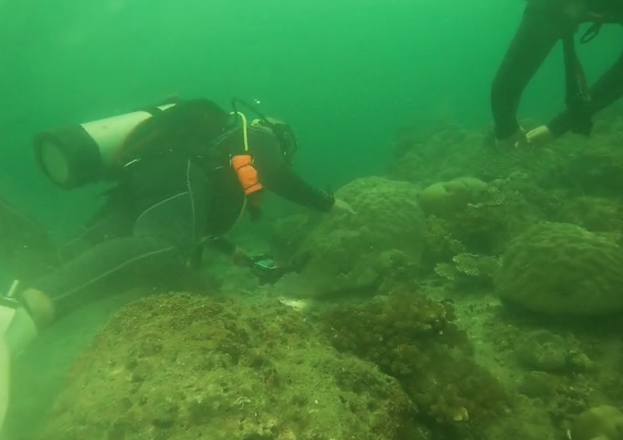 Sejumlah penyelam dari kelompok penggiat konservasi sedang mendokumentasikan kerusakan terumbu karang di spot KMM, Muara Badak. Kerusakan sekitar 40 persen di lokasi ini diduga kuat akibat hantaman ponton batu bara yang kandas di area dangkal.